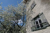 20100428_153306 Fioritura.jpg